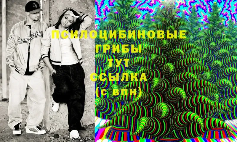 Псилоцибиновые грибы Magic Shrooms  площадка наркотические препараты  Кыштым  blacksprut как войти 